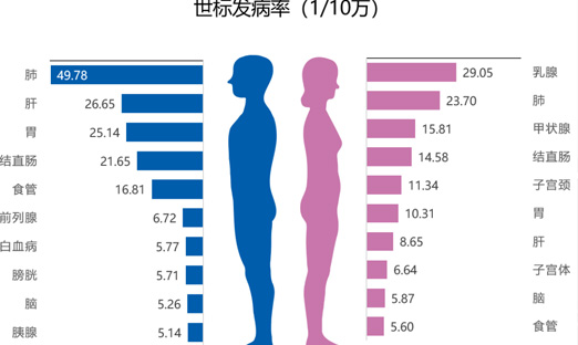 国家癌症中心：2022年全国癌症报告